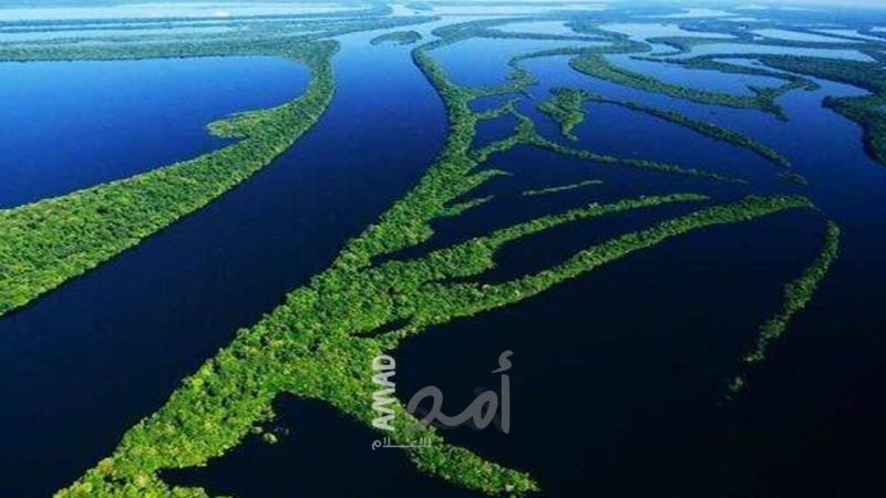 انخفاض منسوب نهر الأمازون يهدد مناطق برازيلية بجفاف شديد