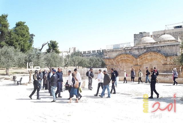 القدس: عدد كبير من المستوطنين يقتحمون المسجد الأقصى