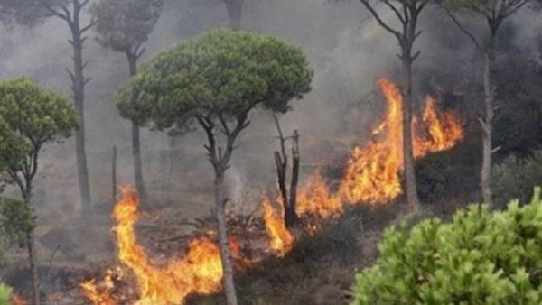 انتشار سريع لحريق غابات فى كاليفورنيا وإجلاء أكثر من 2000 شخص