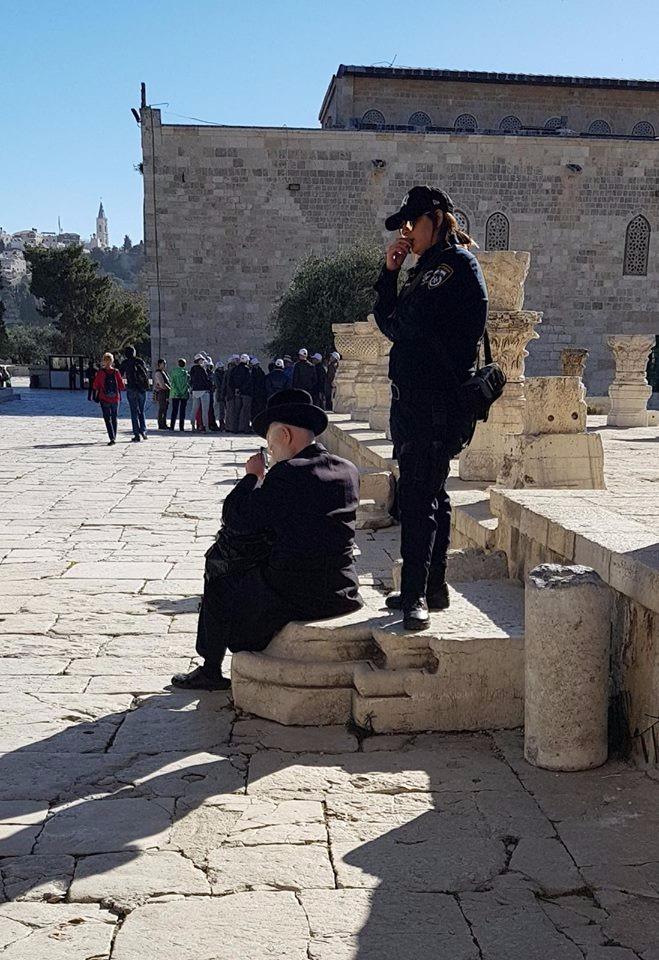 مستوطنون يقتحمون المسجد الأقصى بحراسة مشدده من جش الاحتلال