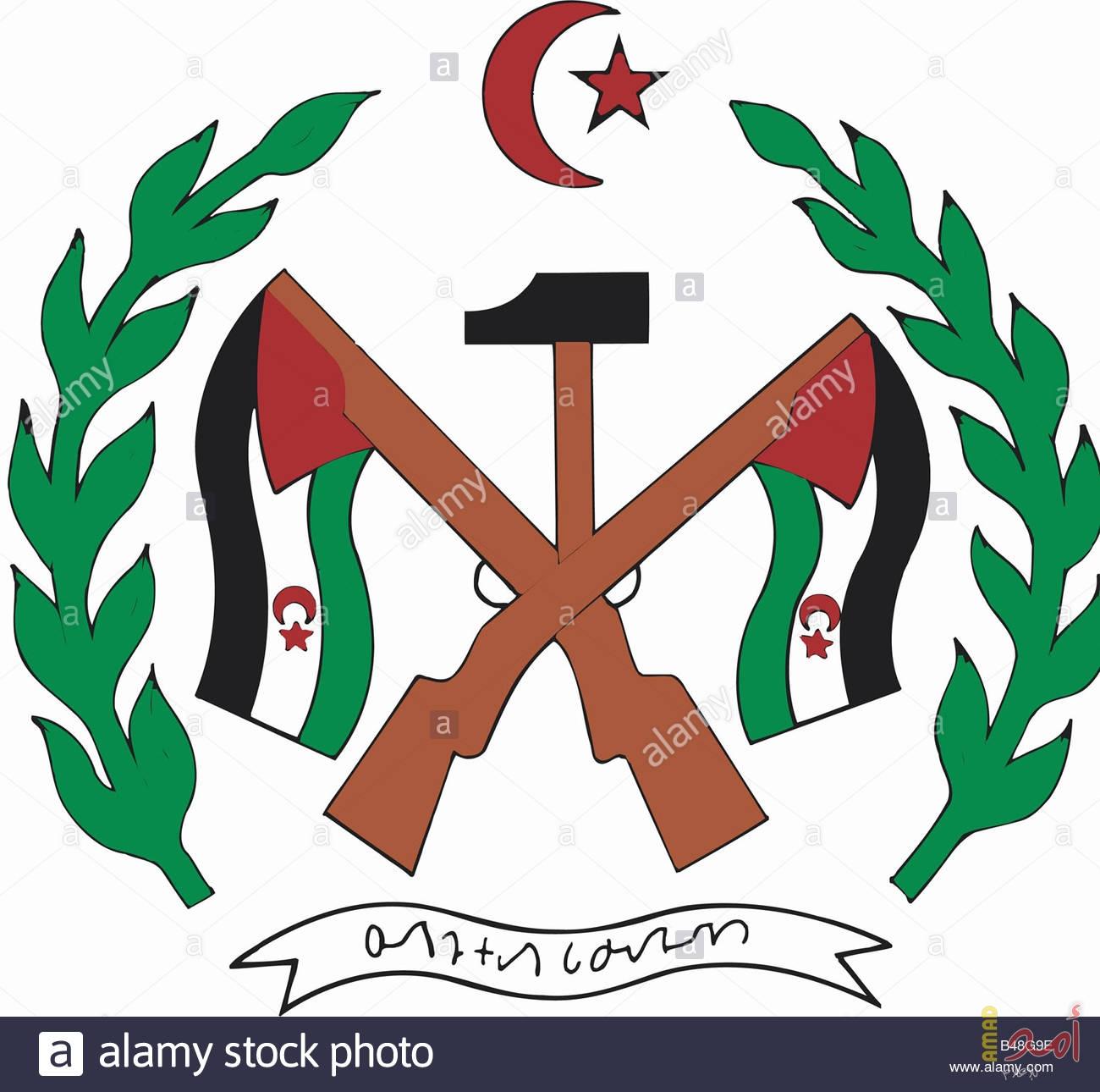 صحيفة مغربية: الدوحة توفر الرعاية الكاملة لزعيم البوليساريو
