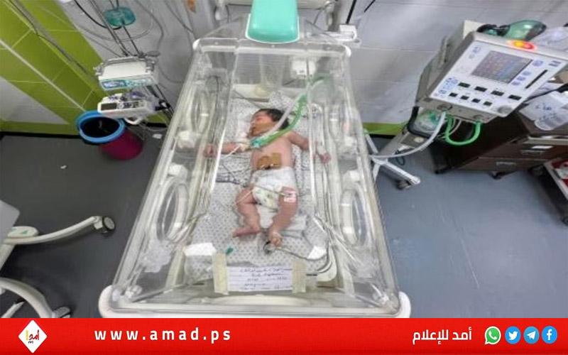 اليونسيف: نحو 20 ألف طفل ولدوا وسط "جحيم" الحرب في غزة