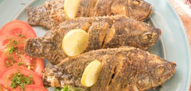 تعرفوا على أفضل أنواع السمك للقلي بدون شوك