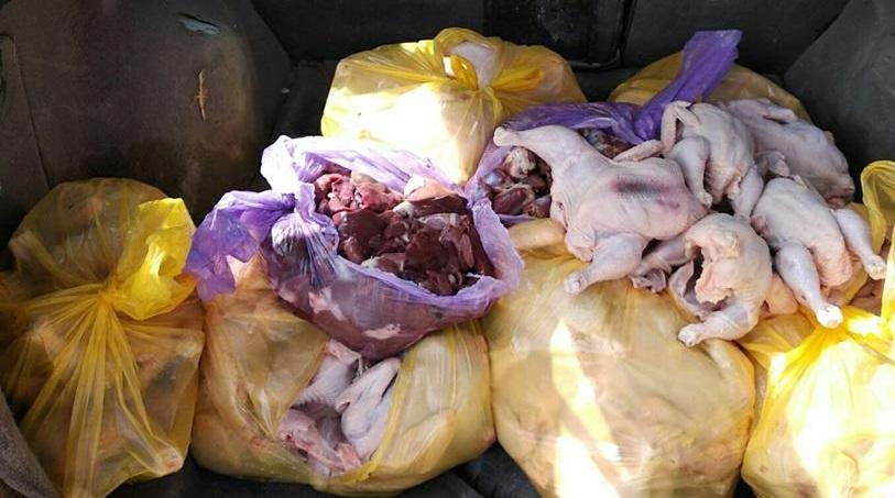إتلاف "90 دجاجة" مذبوحة لعدم صلاحيتها في سلفيت