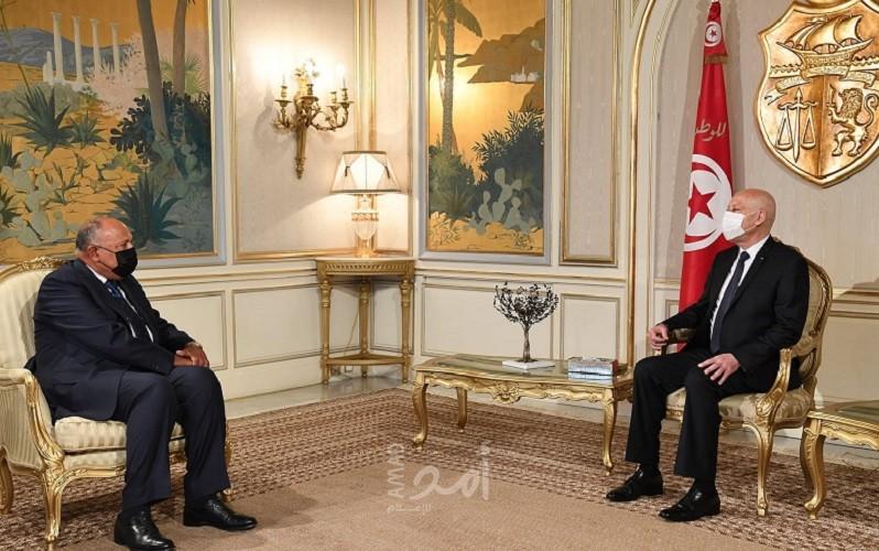 نقلها شكري.. الرئيس التونسي سعيد رسالة من السيسي - فيديو