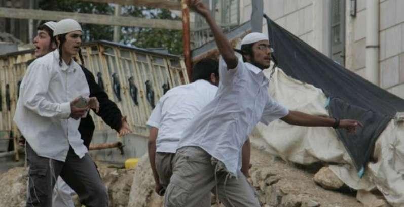 مستوطنون يعتدون على رعاة في الأغوار الشمالية