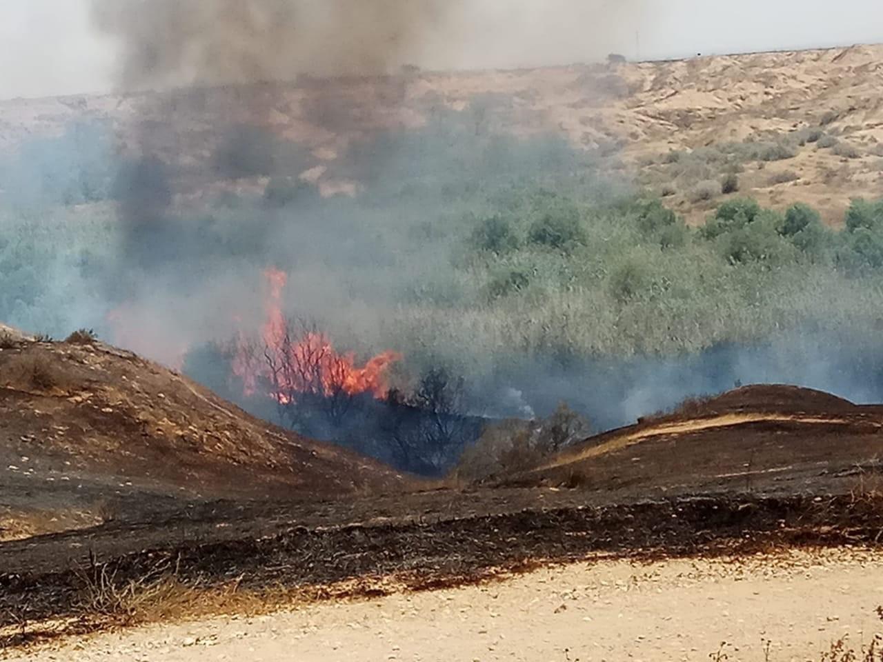 اندلاع حريقين بأحراش إسرائيلية شمال قطاع غزة