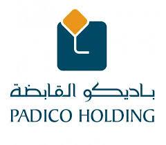 نشاط على سهم شركة "باديكو"