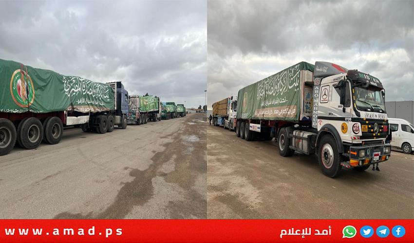 القاهرة: 75 شاحنة كبرى أرسلها بيت الزكاة لقطاع غزة منذ بدء العدوان