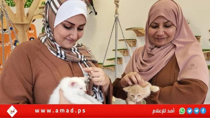 "مياو كافي".. مقهى يساعد الغزيين على مواجهة ضغوط الحياة!- صور