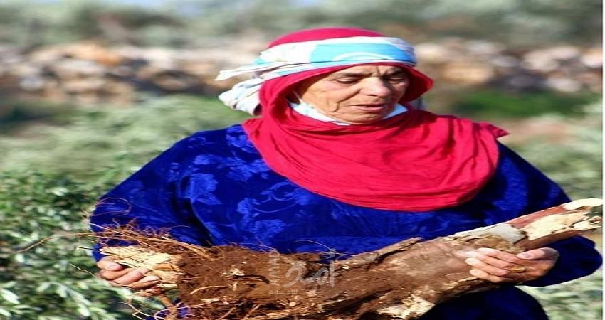 سلفيت: تسجيل حالة وفاة جديدة بـ"كورونا" لمواطنة من بلدة ديربلوط