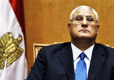 الرئيس المصري عدلى منصور : الانتخابات الرئاسية أولا قبل الانتخابات النيابية ويتوعد "الجماعة الارهابية"