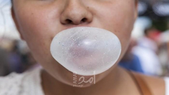 معلومات عن العلكة في يوم ولادتها