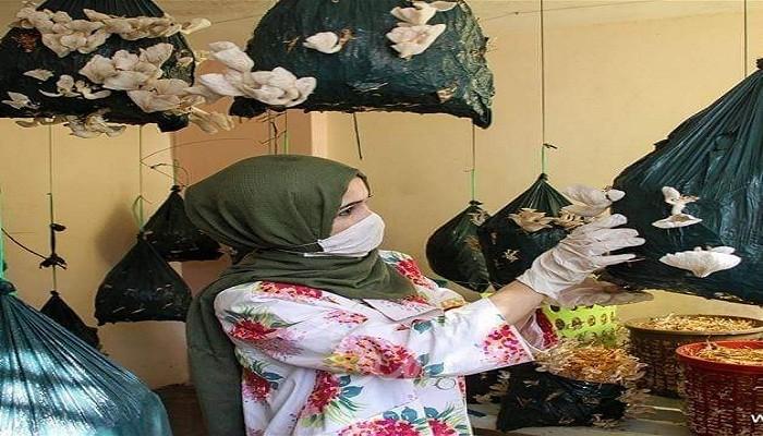 أثبت فوائده في محاربة "كورونا".. صحفية من غزة تبرع في انتاج "المحاري" – صور
