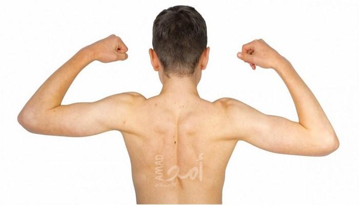 سعي المراهقين لتضخيم أجسامهم.. التغذية الطبيعية هي الحل