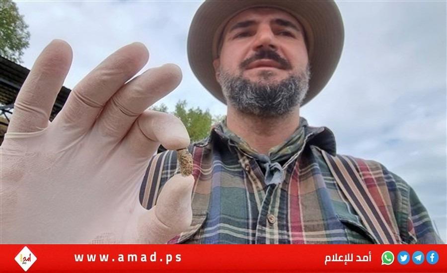 العثور على سن بشرية عمرها 1.8 مليون عام