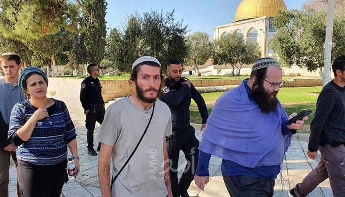 بالصور - إعلام عبري: (343) مستوطناً اقتحموا الأقصى الأسبوع الماضي