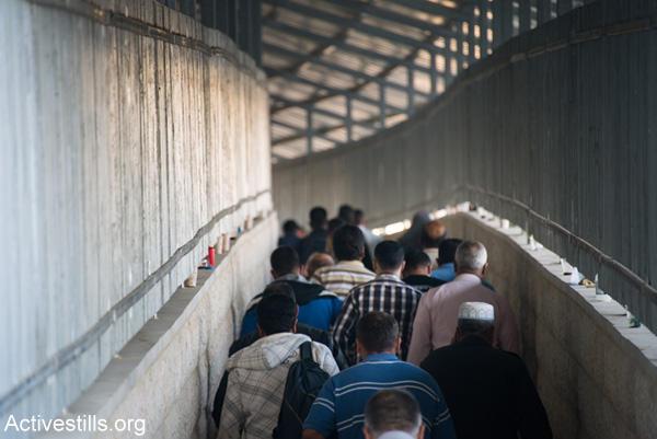 إسرائيل تسحب عشرات التصاريح من "نشطاء سلام" فلسطينيين
