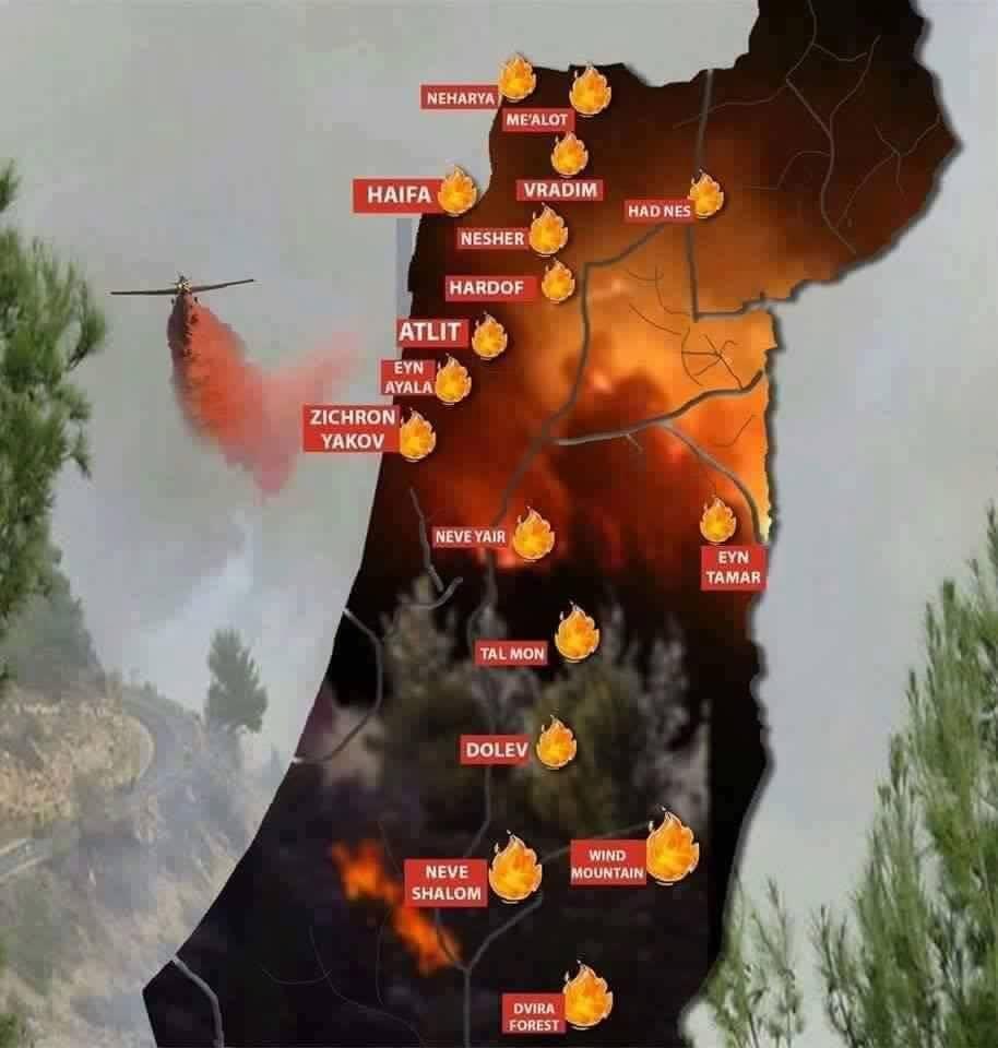 حريق في صفد يتسبب بإخلاء عشرات المنازل