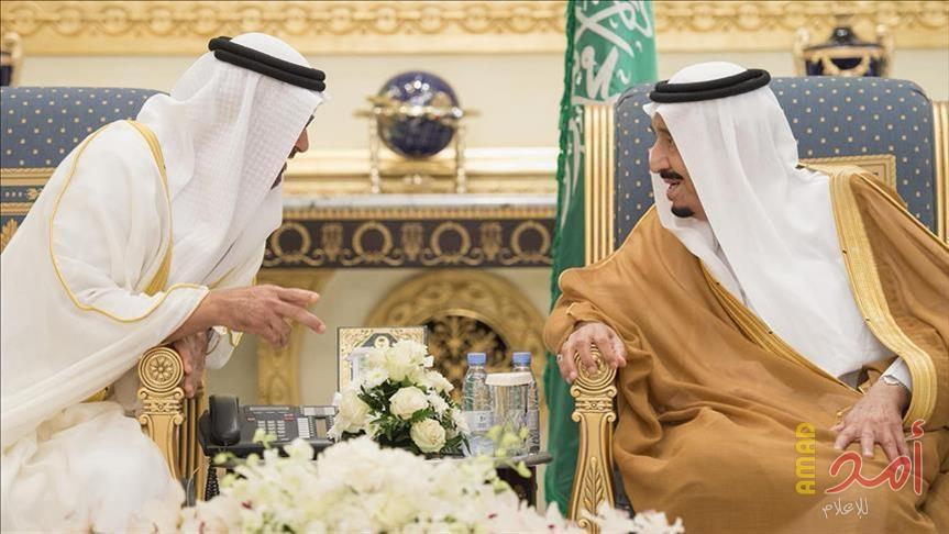 خلال لقاء الملك سلمان. محمد بن زايد: الإمارات ستظل دائمًا في خندق واحد مع السعوديين