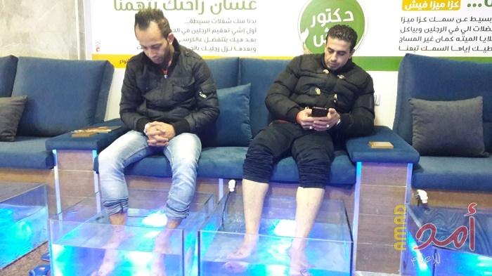 بالصور - الأول من نوعه بغزة... "دكتور فيش" مشروع علاجي وترفيهي