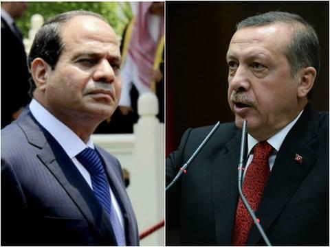 «الذئب المصري» يخترق وكالة «الأناضول» ردًا على «تطاول» أردوغان على السيسي