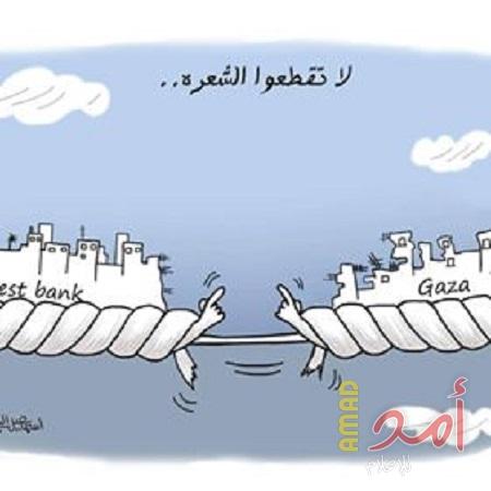 لا تقطعوا الشعرة!