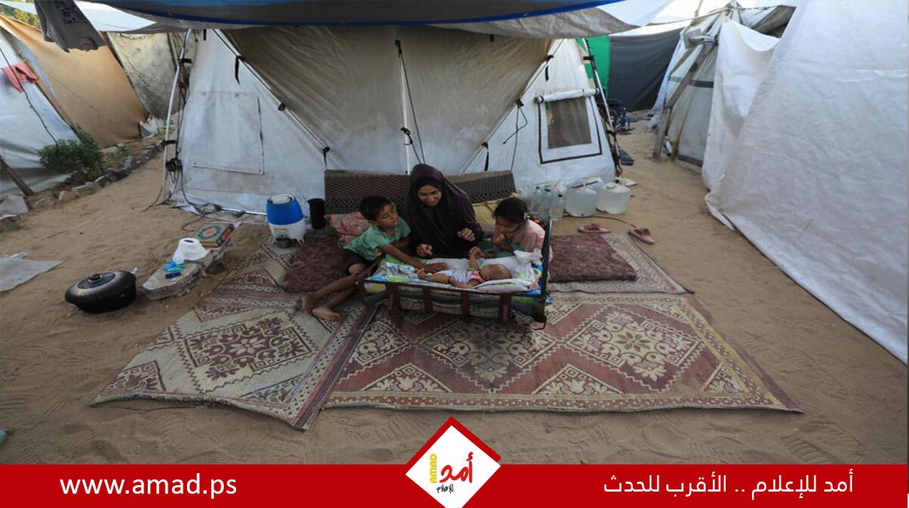 مسؤول أممي: حرب غزة لم تنته وخاصة بالنسبة للنساء والفتيات