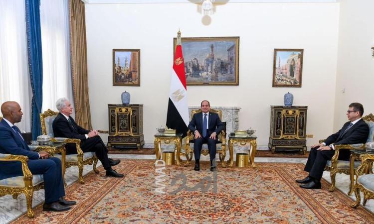 خلال لقاء بيرينز..السيسي أكد أهمية حل الدولتين ووقف إطلاق النار في غزة
