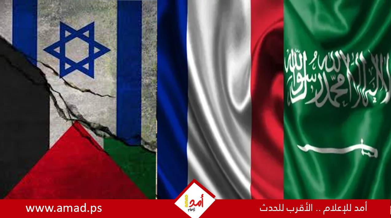 "بلومبيرغ": ألمانيا قررت دعم مقترح تقوده فرنسا والسعودية لحل الدولتين