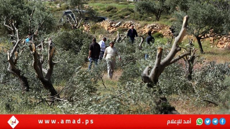 الأمم المتحدة تعتمد مشروع قرار حول السيادة الدائمة للشعب الفلسطيني على موارده الطبيعية