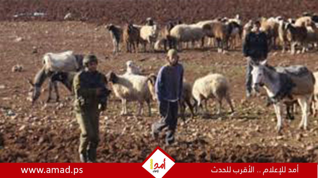 جيش الاحتلال يواصل عدوانه على مخيمات ومدن الضفة