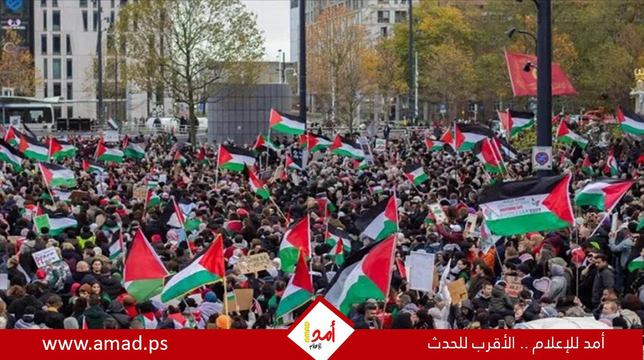 مظاهرات حاشدة في لاهاي رفضا لحرب غزة حوالي 100 ألف مشارك- فيديو
