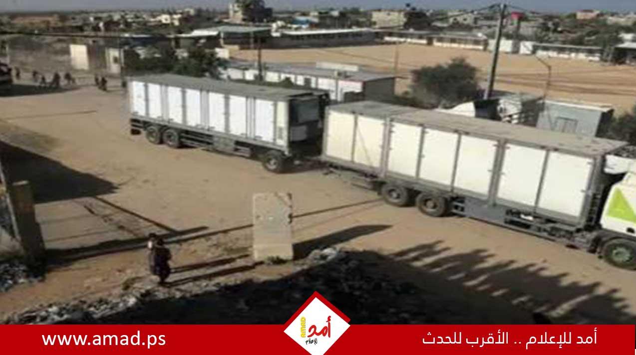 للمرة الأولى..8 شاحنات مساعدات غذاء دخلت غزة من ميناء أسدود