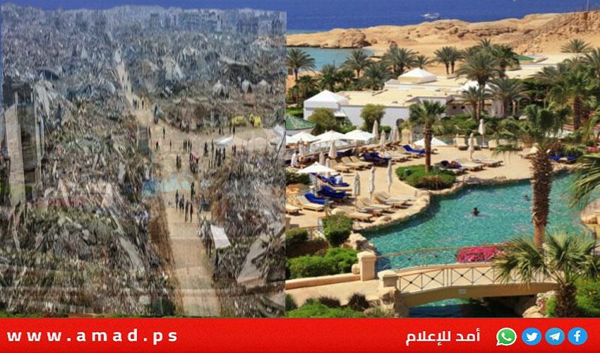 اليوم الثالث..النونو: تقدم إيجابي في مفاوضات شرم الشيخ وتبادل كشوفات الأسرى