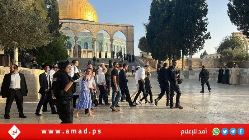 مئات المستوطنين يقتحمون باحات المسجد الأقصى في ذكرى “مسيرة الأعلام” ودعوات إلى المواجهة