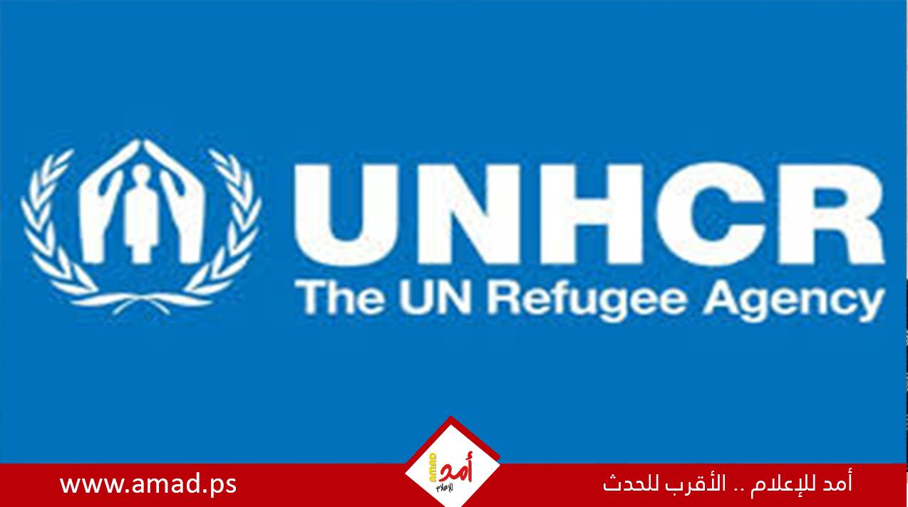 مفوضية الأمم المتحدة لشؤون اللاجئين تسرح المزيد من الموظفين