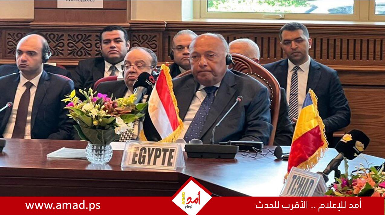 وزير خارجية مصر يحذر إسرائيل من اجتياح رفح ويطالب باتخاذ إجراءات رادعة