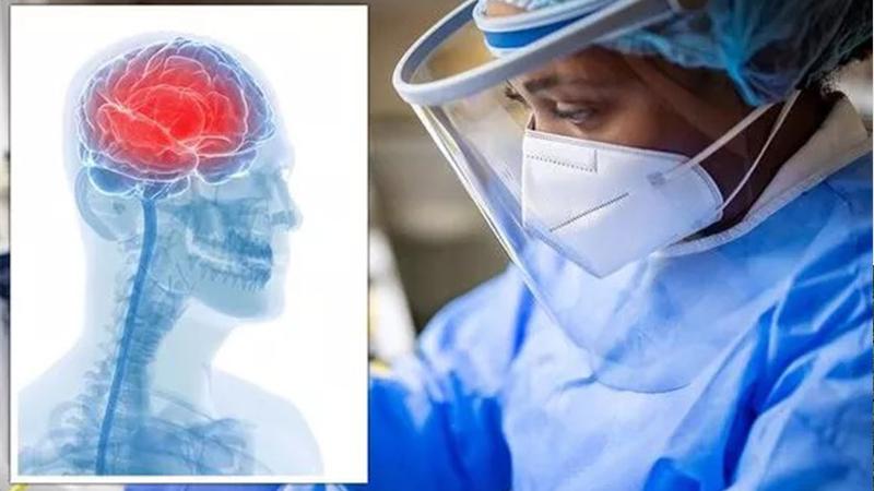 فيروس الشيكونجونيا.. أبرز أعراضه وأسبابه وطرق الوقاية والعلاج