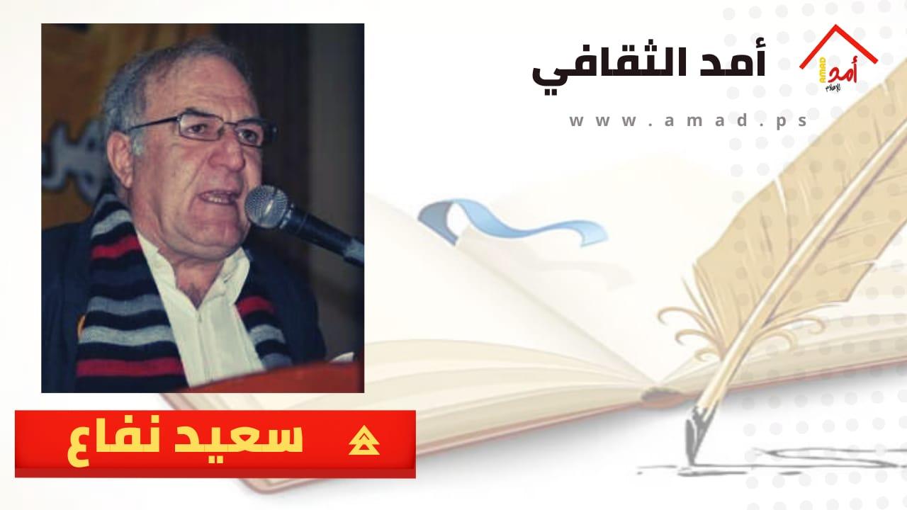 قطّة هاشم!