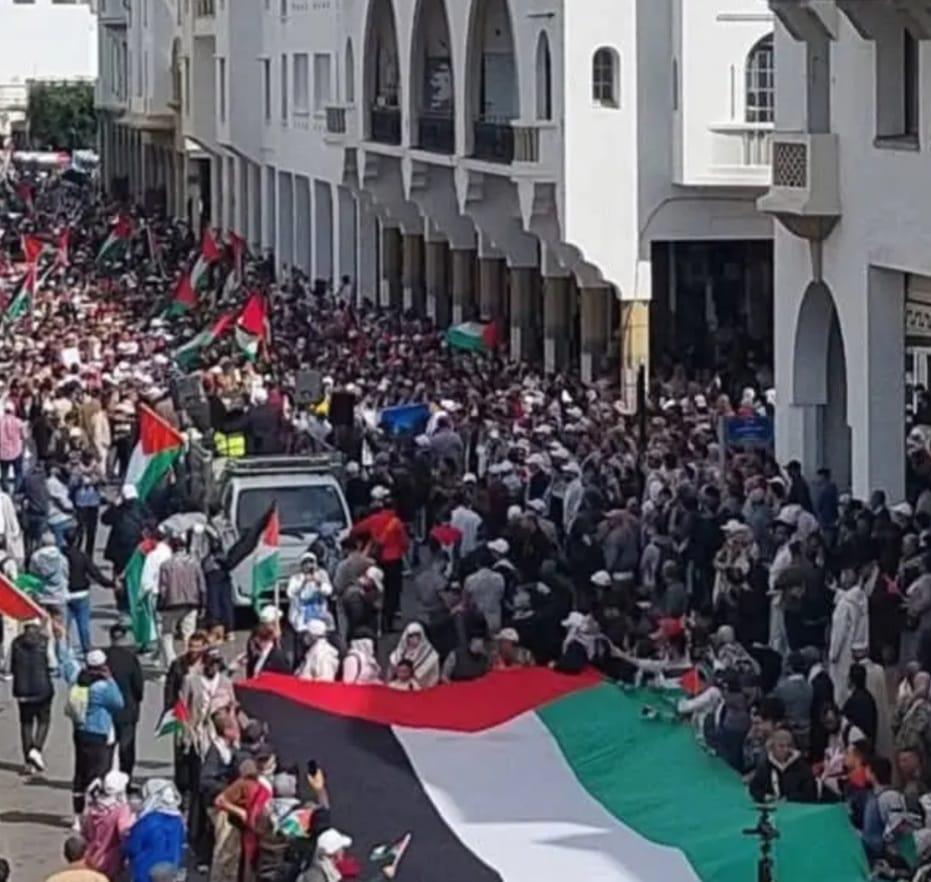 أرشيفية
