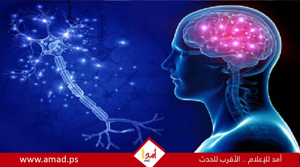 دراسة..اكتشاف طفرة جينية قد تحمي من مرض الزهايمر