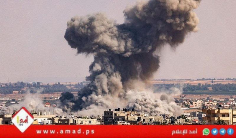 فرنسية تقاضي إسرائيل بعد مقتل أحفادها في غزة