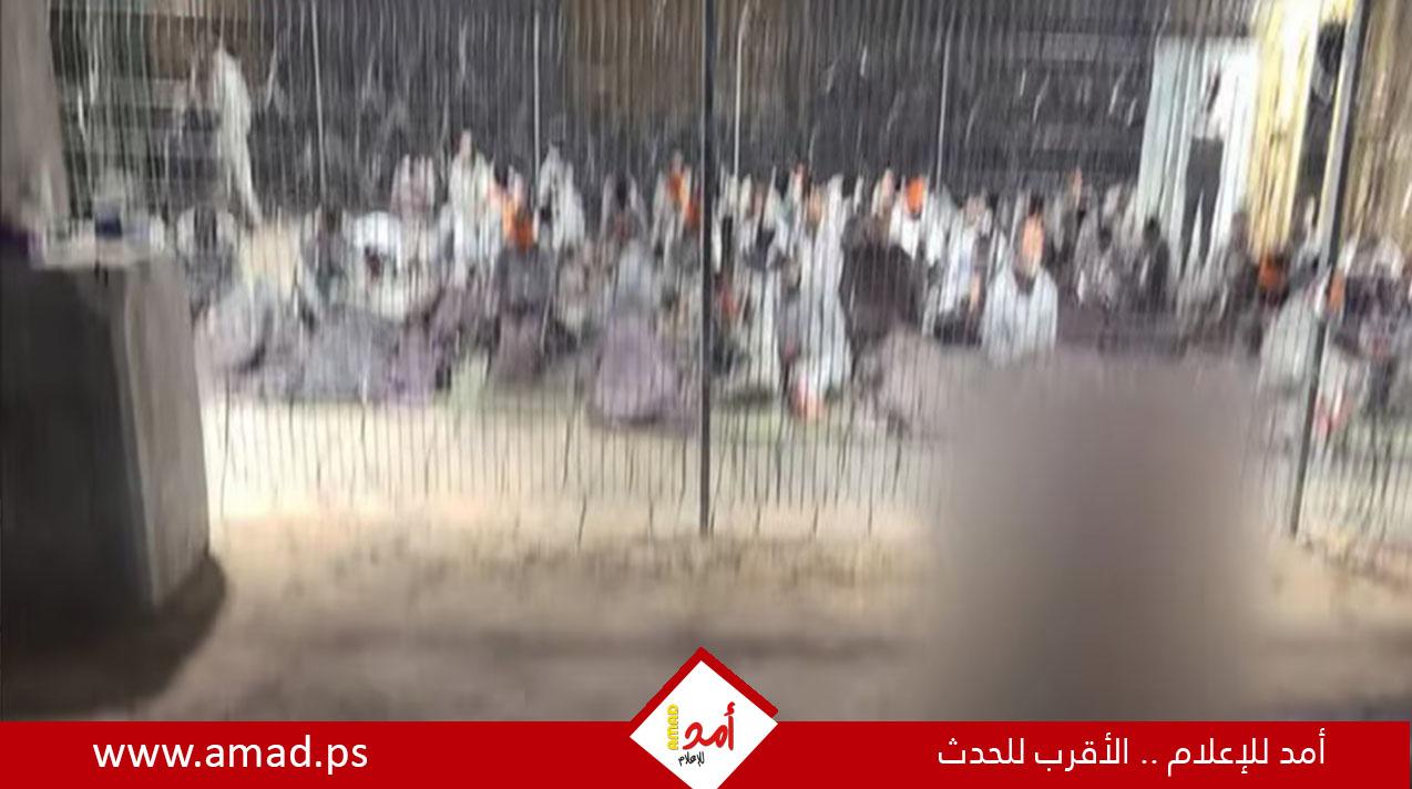 الأمم المتحدة: استخدام جيش الاحتلال الكلاب ضد المعتقلين الفلسطينيين انتهاك خطير