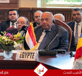 وزير خارجية مصر يحذر إسرائيل من اجتياح رفح ويطالب باتخاذ إجراءات رادعة