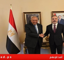 مصر وتركيا تؤكدان التنسيق معا لوقف الحرب في قطاع غزة وإنهاء الاحتلال
