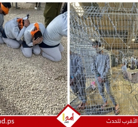 جيش الاحتلال يعلن فتح "تحقيق جنائي" في تسريب توثيق لتعذيب أسير فلسطيني