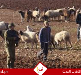 تقرير: عنف وإرهاب المستوطنين يتصاعد بعد ان أوعز بن غفير لشرطة الاحتلال حمايتهم وعدم ملاحقتهم