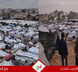 قناة: "مجلس السلام" يقدم مقترحاً جديداً في مفاوضات غزة - تفاصيل