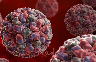 دراسة: الكافيين قد يساعد بعض أنواع البكتيريا على مقاومة المضادات الحيوية